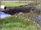 foto Lago di Juribrutto